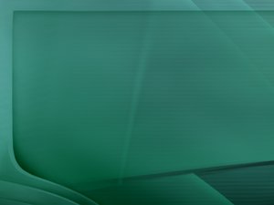 技术避坑指南：新手常犯的10个错误